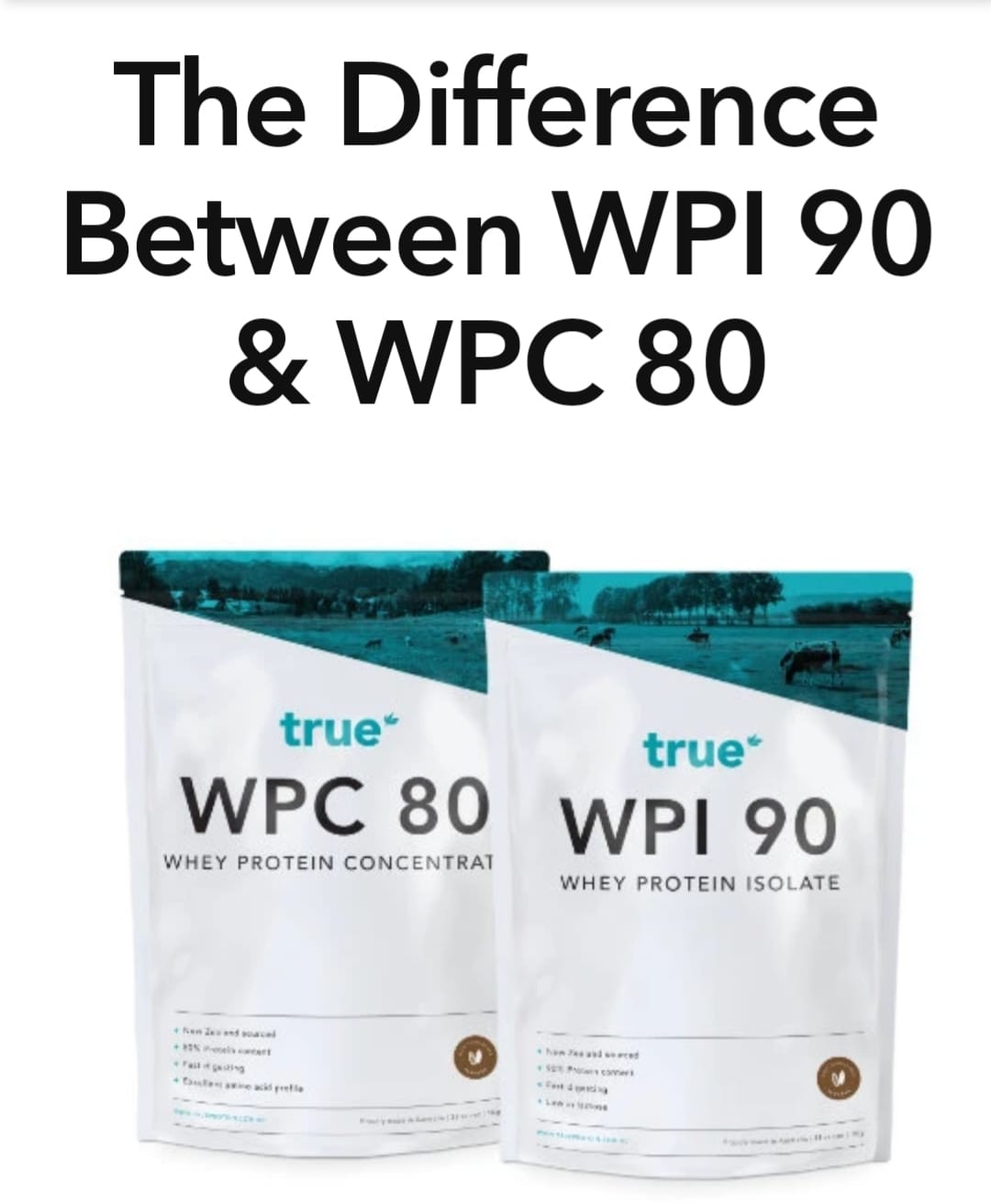 Whey Protein Isolate 90%